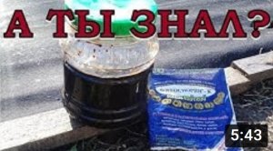 Вся правда о ФИТОСПОРИНЕ???