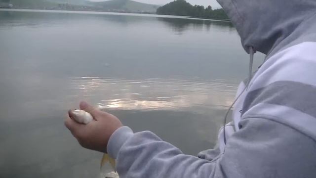 Рыбалка озеро Большое. Шарыповский район. Красноярский край.. Лето. Отдых. Рыбалка смотреть онлайн