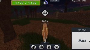 TOP 10 ROBLOX ANIMAL ROLEPLAY GAMES