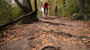 Маунтинбайк тренировки в Воронеже