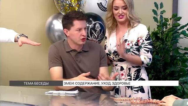 Тонкости содержания змей в домашних условиях смотреть онлайн