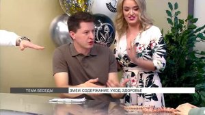 Тонкости содержания змей в домашних условиях