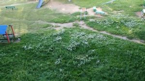 С ИРКУТСКА  ДО  ВЛАДИВОСТОКА НА МАШИНЕ.