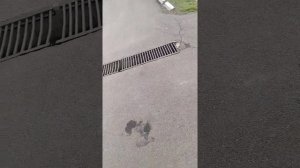 Протяжка провода в металлопластиковую трубу