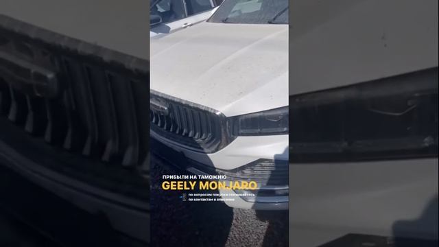 GEELY MONJARO ? По вопросам покупки обращайтесь по номеру: +7 (913) 914-72-02 (WhatsApp)