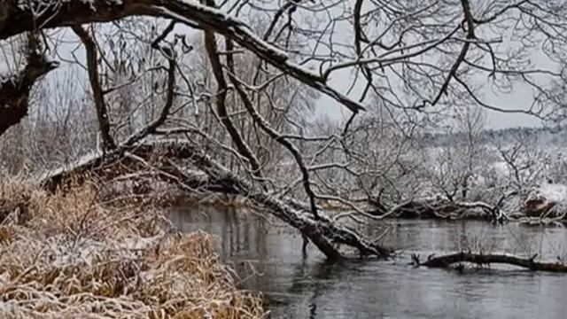 Исполнитель - Я. Отшумел тот клён. смотреть онлайн