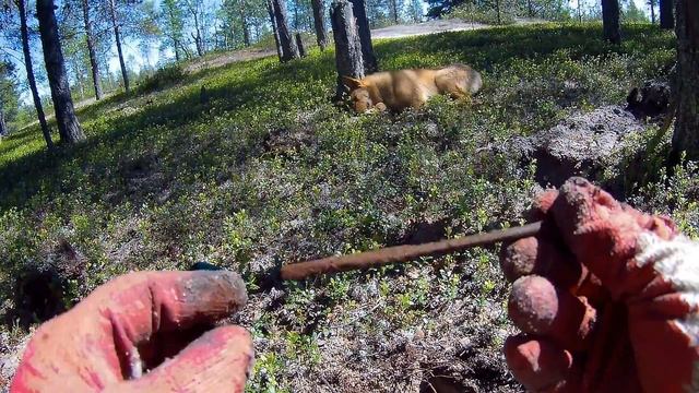 Вьетнам коп Старинное озеро   Minelab CTX 3030