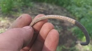 ЦАРСКИЕ НАХОДКИ. КОП С АСЬКОЙ 250. МОНЕТОЧКИ. НЕ ВЫБИТОЕ МЕСТО.