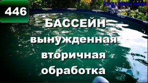 БАССЕЙН обработка - вторичная. БЕЛИЗНА и МЕДНЫЙ КУПОРОС для бассейна