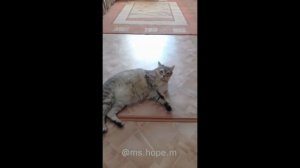 Тихон ??