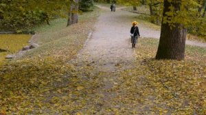 Дендропарк Александрия. Белая Церковь.