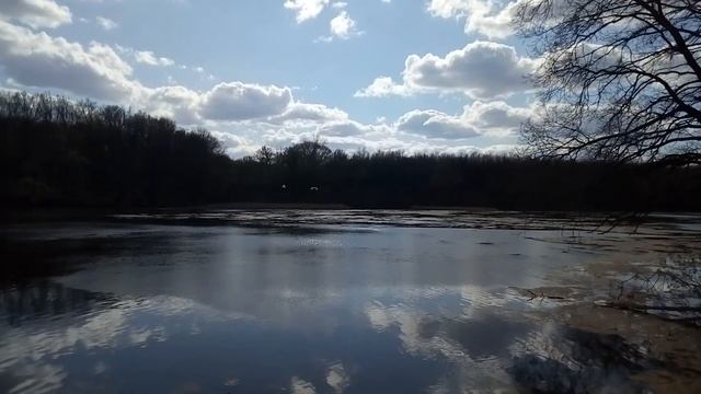 УДИВИТЕЛЬНОЕ и одновременно ЗАХВАТЫВАЮЩЕЕ ЗРЕЛИЩЕ! смотреть онлайн