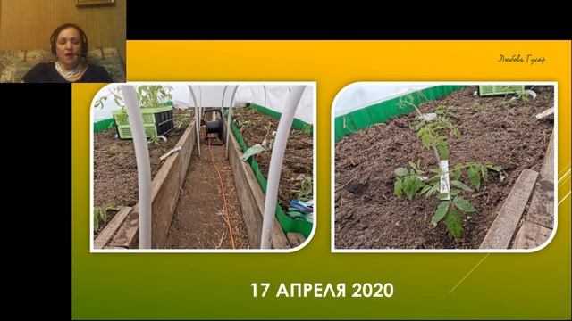 ?Актуальные вопросы выращивания томатов. Рассада. Высадка в грунт. Формировка. Сорта. Гусар Любовь смотреть онлайн