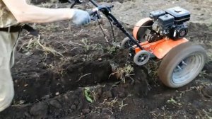 Мотокультиватор CARVER T-650R копает картофель окучником