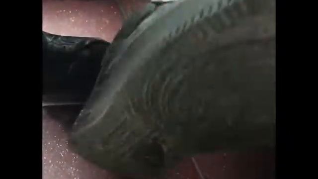 451 SQUAD VLOG Ярославль смотреть онлайн