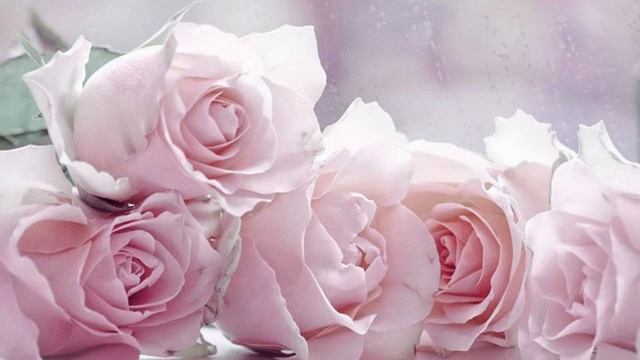 С_ДНЕМ_РОЖДЕНИЯ_МУЗЫКАЛЬНАЯ_ОТКРЫТКА_ПОЗДРАВЛЕНИЕ.mp4