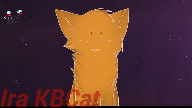 Коты Воители Ангел или Бес смотреть онлайн