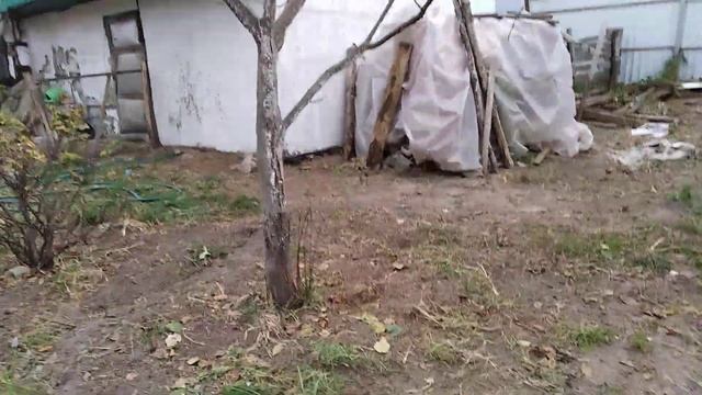 Огород готов к зиме. #моехозяйство #осеннийогород.