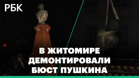 В центре Житомира демонтировали бюст Пушкина