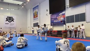Всероссийский Технический Семинар Тхэквондо МФТ / Taekwondo ITF Seminar Part 2