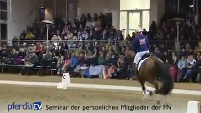 Смена рамок у проводимой лошади смотреть онлайн