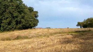 Getreidefelder nach der Ernte. (стихи,  А ты живи, что значит ты устал.  Екатерина Бабенко).