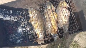 Карп на углях, очень вкусный, простой и быстрый рецепт.