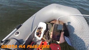 Тохатсу 9.9 скорость лодка профмарин 300cl