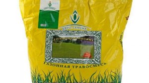 Расход семян газонной травы на 1 м2