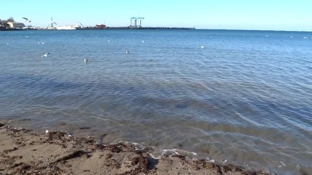 АНАПА ? МОРЕ, центральный пляж 21 ноября 2016 года смотреть онлайн