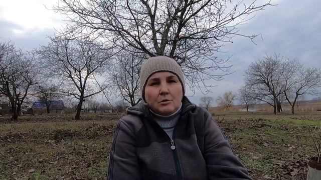 Почему пенсионеры едут из Сибири на Кубань. смотреть онлайн