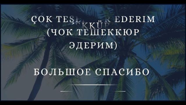 ТУРЕЦКИЙ СЛОВАРЬ. ТУРЕЦКИЙ ЯЗЫК ДЛЯ НАЧИНАЮЩИХ. БЛАГОДАРНОСТЬ. ТУРЕЦКО - РУССКИЙ СЛОВАРЬ ОНЛАЙН.