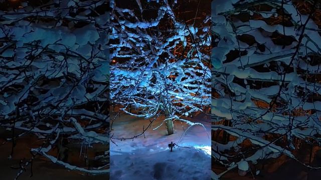 новогодняя подсветка деревьев)))