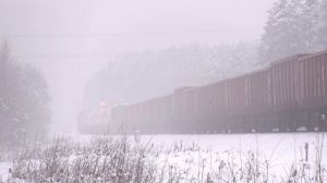 Грузовой поезд проехал красный сигнал / Freight train passed а red signal