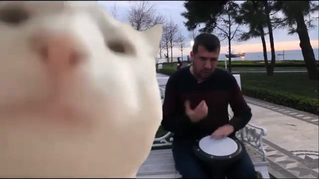песенка
