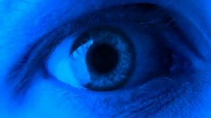 ERA 2010 - The Essential