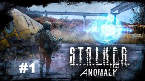 Прохождение Stalker Anomaly. ХАРДКОР.