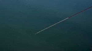 Спиннинг для ультралайта, вклеенная или цельная вершинка , что лучше. (solid vs tubular)