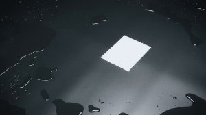 Dodo Mat Water Resistance 💦 Dodo® Dual-Layer Car Mat