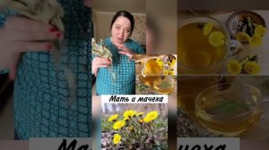 Эвкалипт- полезные свойства.