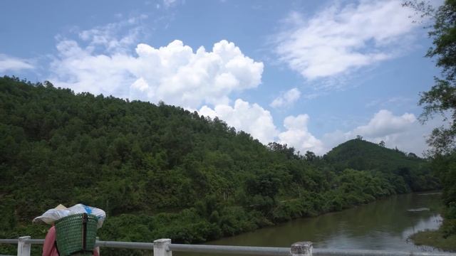 Harvesting Coconut Fruit Goes to the market to sell - Green forest farm, harvest farm daily life смотреть онлайн