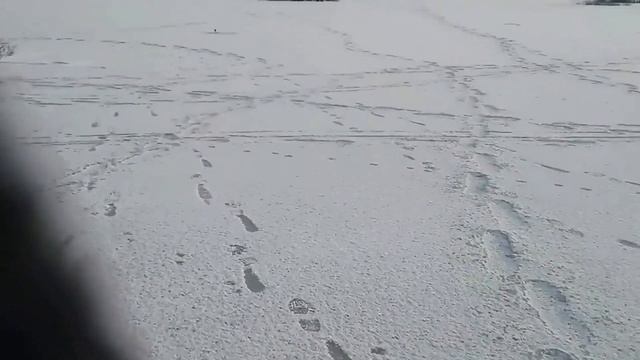 Рыбалка д.  Потягино Ярославской области 29 11 2015г