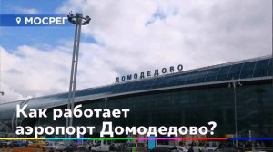 Работа Москва Аэропорт Домодедово (смотри описание)