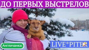 LIVE*PITER: Зимняя прогулка с собакой по парку обернулась стрессом...