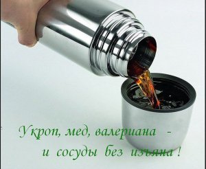 Укроп, мёд, валериана и сосуды без изъяна
