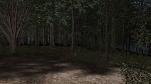 Lake Cabin Ambience | Nancy Drew Ghost Dogs of Moon Lake Soundtrack