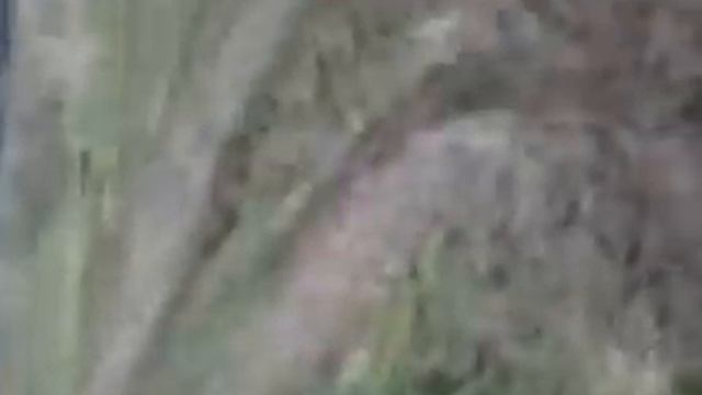 V23 09 12 11 31 смотреть онлайн