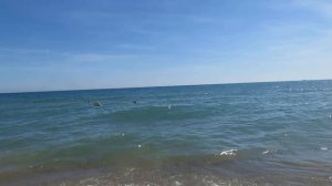 Пляж отеля Side Yesiloz Hotel 4*, Sunset beach clab (Турция, Сиде)