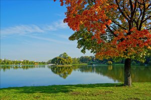 004,Рыбалка 4.mp4