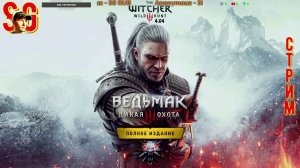 ВЕДЬМАК 3: ДИКАЯ ОХОТА ⫸ СТРИМ (#23) ⫸ Играю Впервые! ⫸ The witcher 3: wild hunt (v4.04)